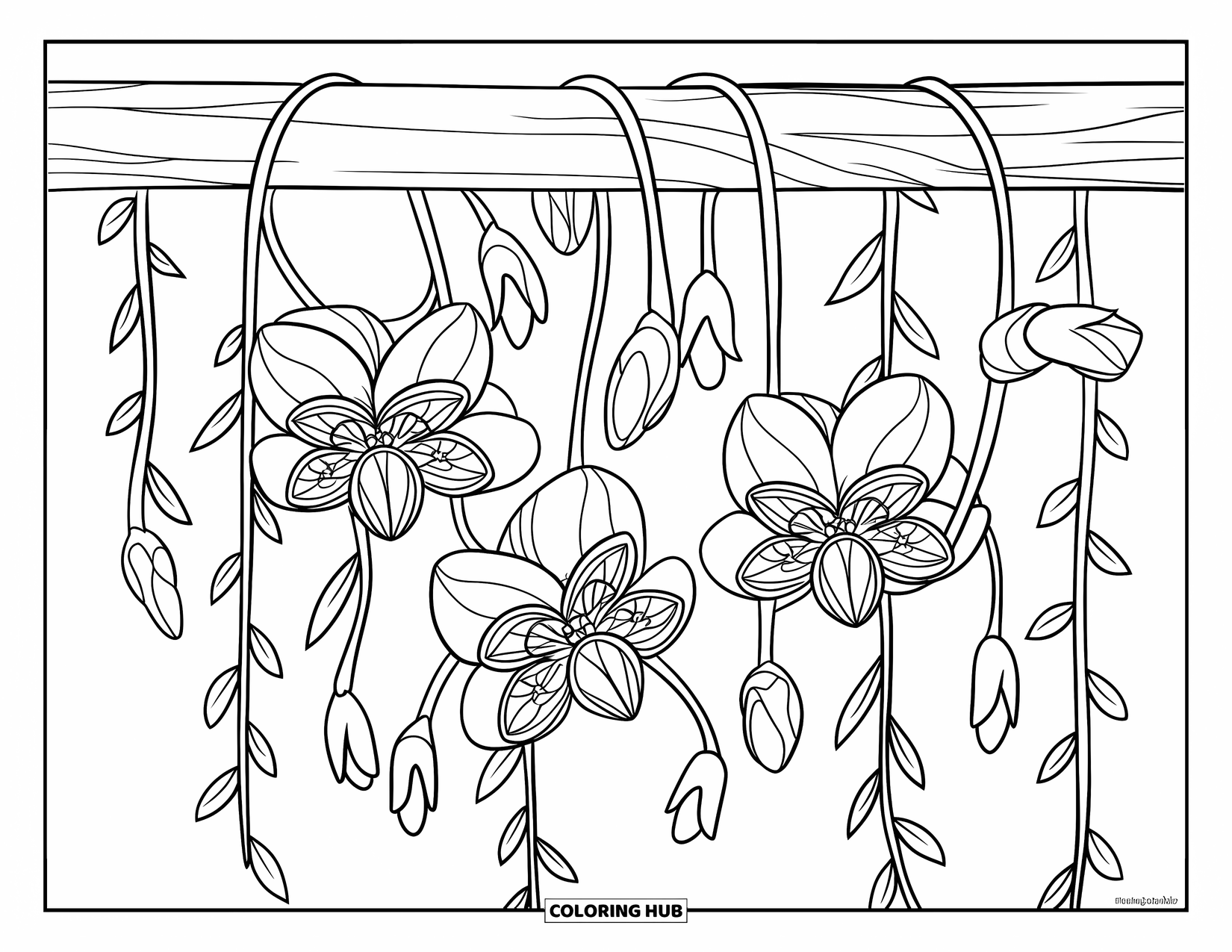 Blumen Ausmalbild für Kinder: Eine hängende Ranke mit exotischen Blumen und herabhängenden Knospen windet sich um eine Holzsäule