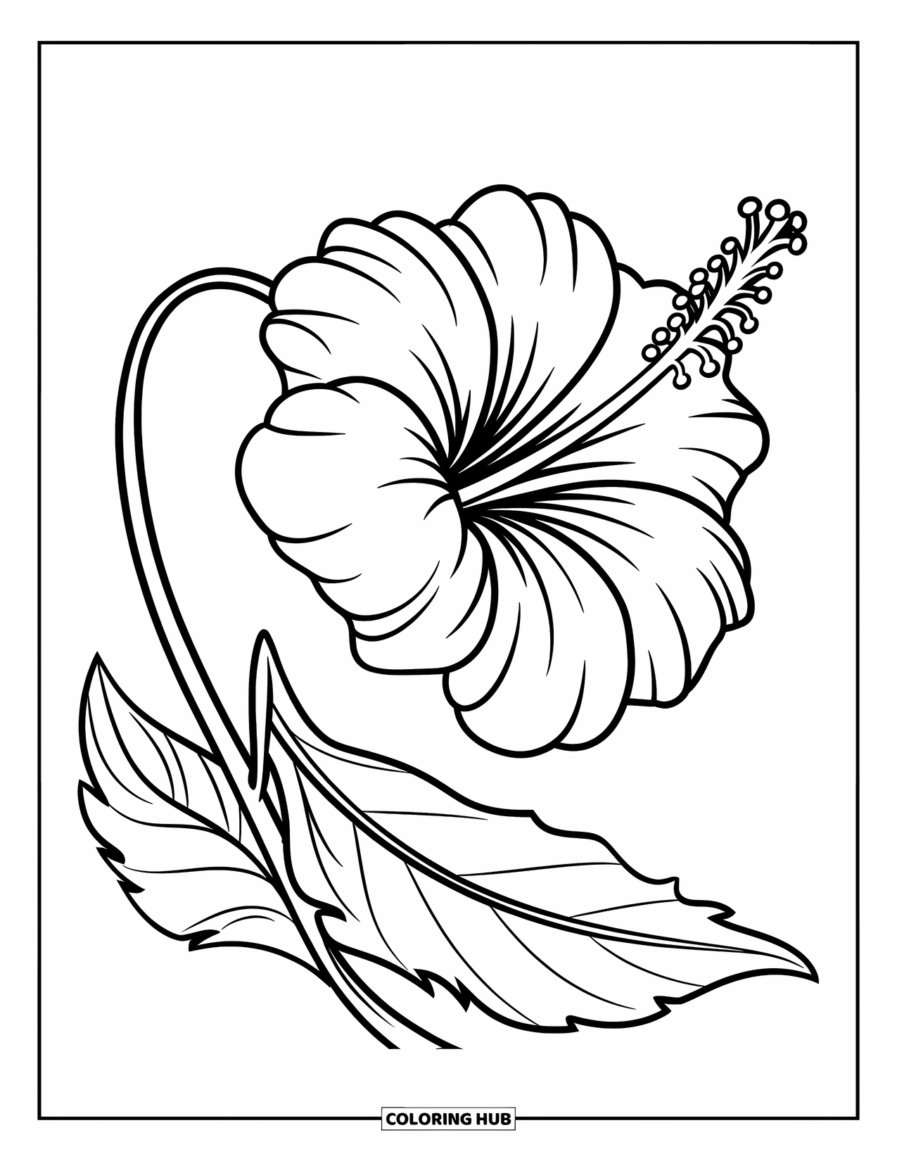 Blumen Ausmalbild für Kinder: Ein Hibiskus mit einem dicken Stiel und einem Blatt, das sich in einer weichen Locke erstreckt