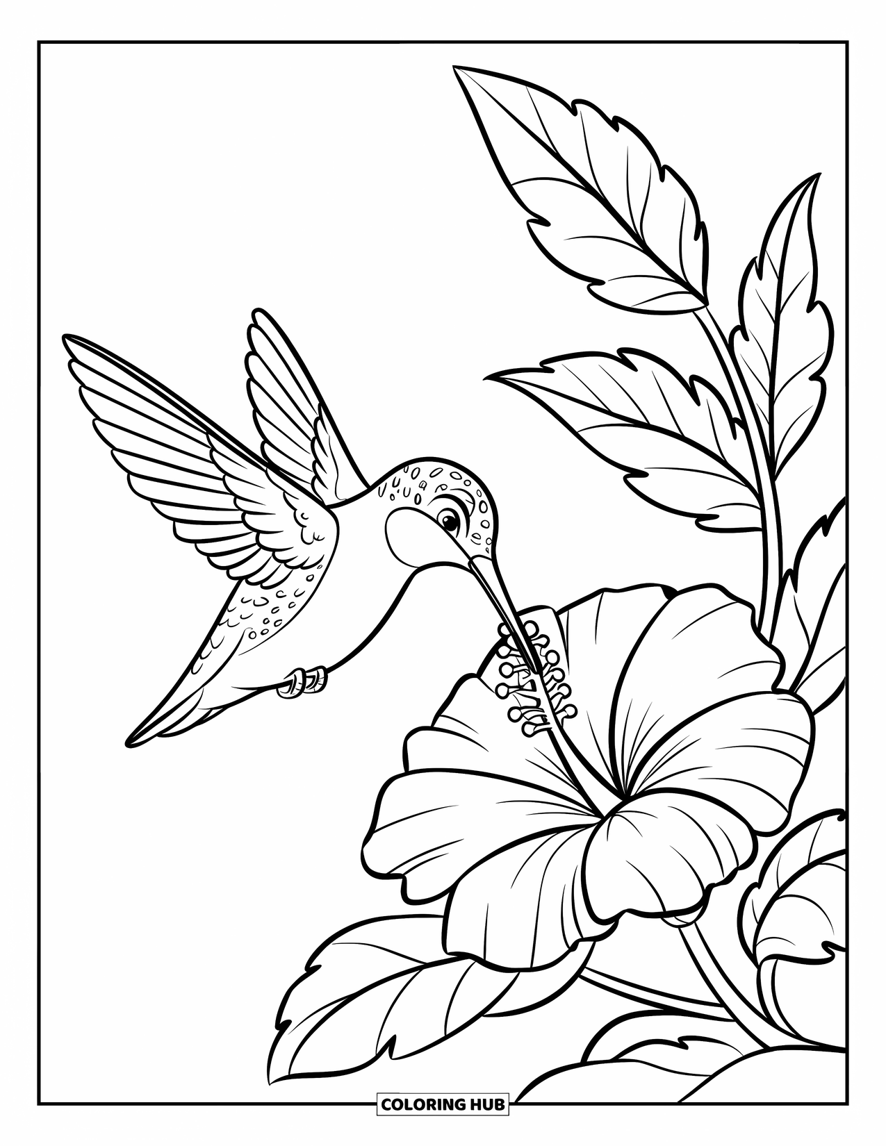 Blumen Ausmalbild für Kinder: Ein Kolibri schwebt in der Nähe einer blühenden Hibiskusblüte, sein Schnabel nahe dem Zentrum der Blüte