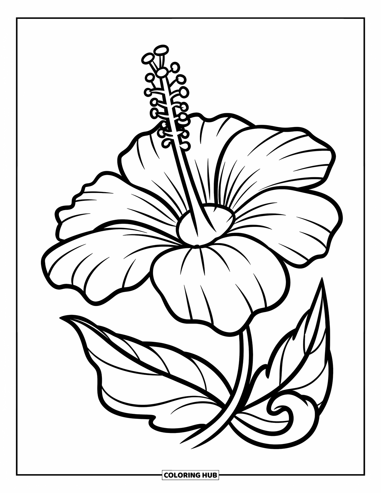 Blumen Ausmalbild für Kinder: Eine große Hibiskusblüte mit einem gebogenen Stiel und einem einzelnen Blatt, das sich nach außen rollt