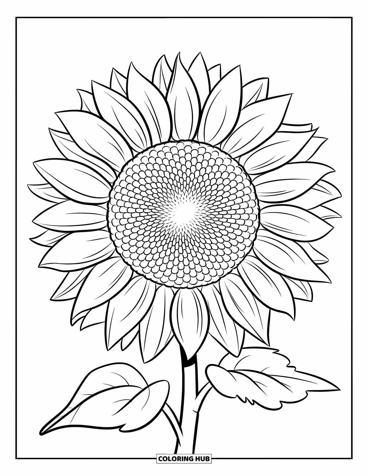 Blumen Ausmalbild für Kinder: Eine große Sonnenblume mit einem markanten Spiralzentrum und geschichteten Blütenblättern in einem ausdrucksstarken Blumendesign