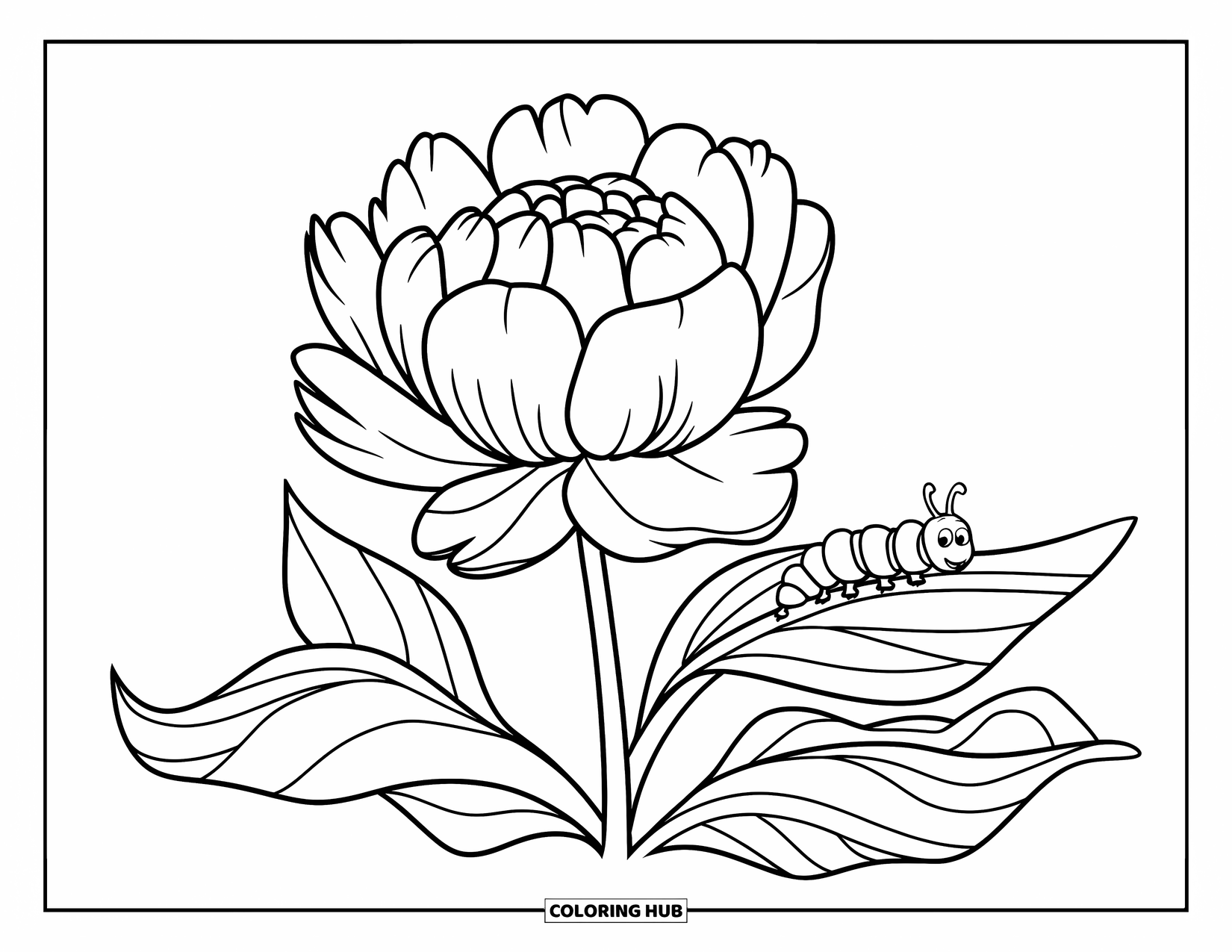 Blumen Ausmalbild für Kinder: Eine Pfingstrose mit flauschigen Blütenblättern und einer winzigen Raupe, die auf einem ihrer Blätter krabbelt