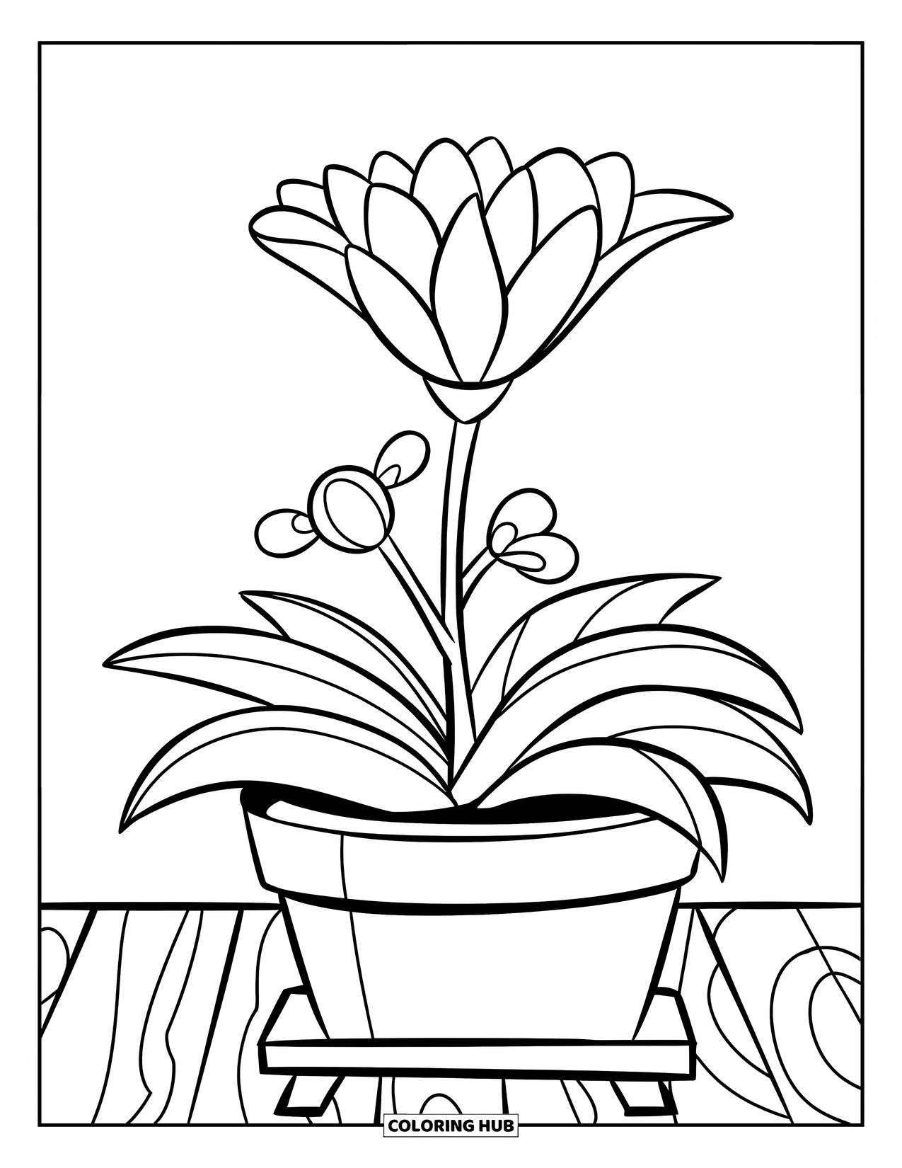 Blumen Ausmalbild für Kinder: Eine Topfpflanze mit einer blühenden Blume und winzigen Knospen, die an ihrem Stiel wachsen