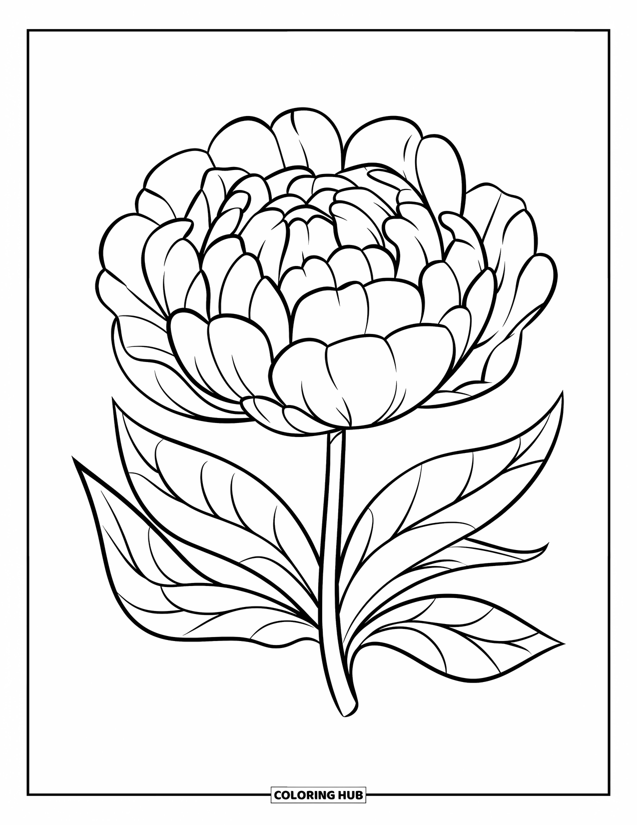 Blumen Ausmalbild für Kinder: Eine runde Pfingstrose mit flauschigen Blütenblättern und einem kurzen, gebogenen Stiel