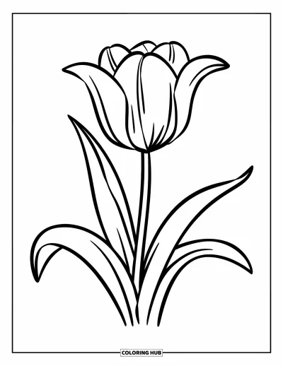 Desenho de flores para colorir para crianças: Uma única tulipa erguida, com pétalas lisas e duas folhas