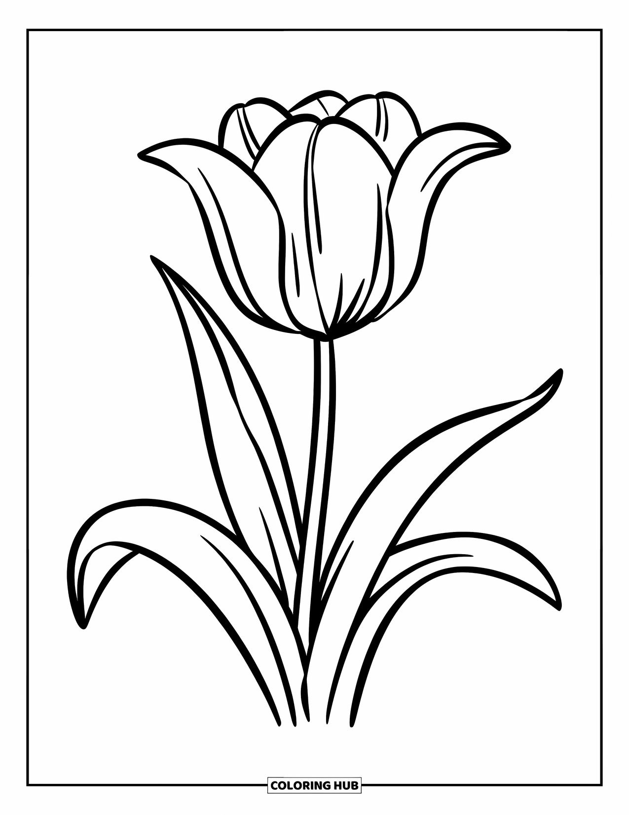 Blumen Ausmalbild für Kinder: Eine einzelne Tulpe steht hoch mit glatten Blütenblättern und zwei Blättern
