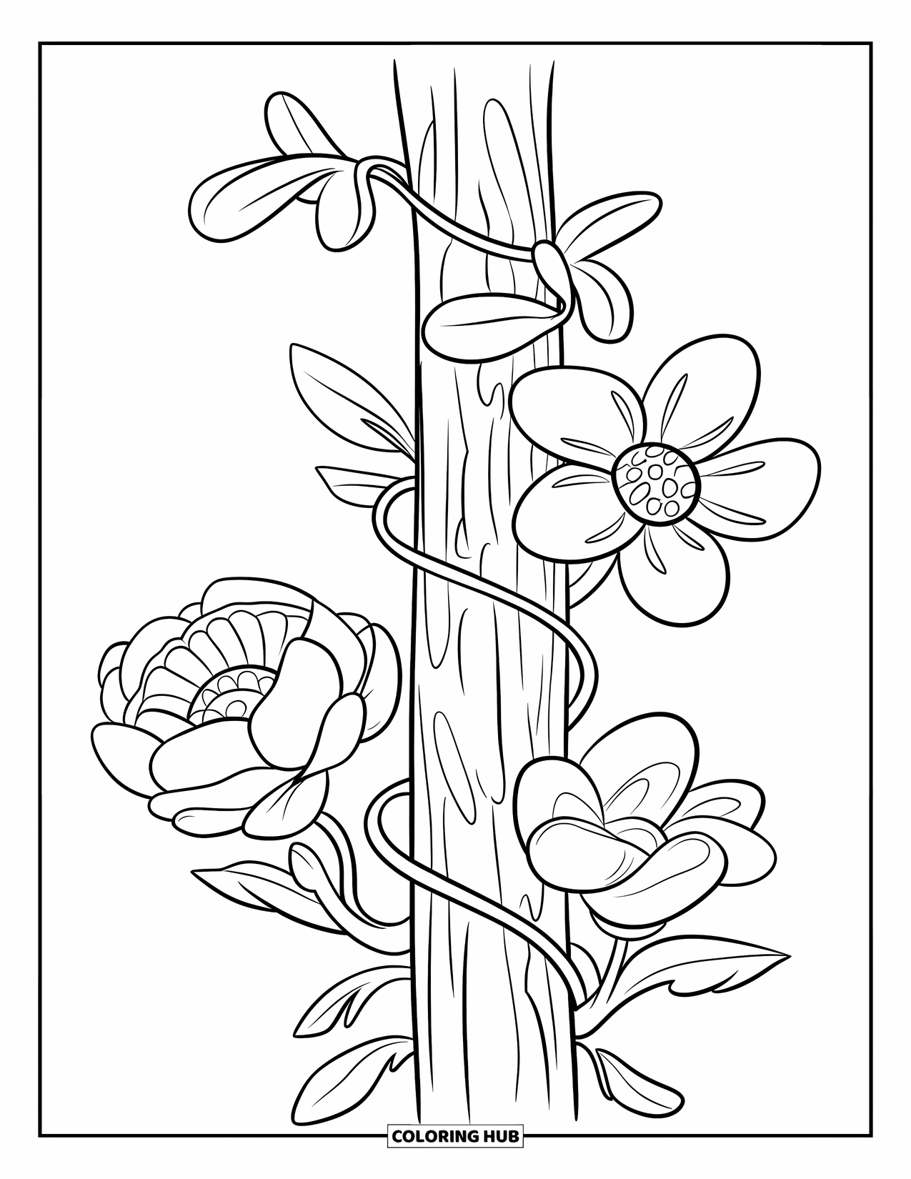 Blumen Ausmalbild für Kinder: Eine kleine Ranke mit drei einzigartigen Blumen, die sich um einen Holzpfahl winden