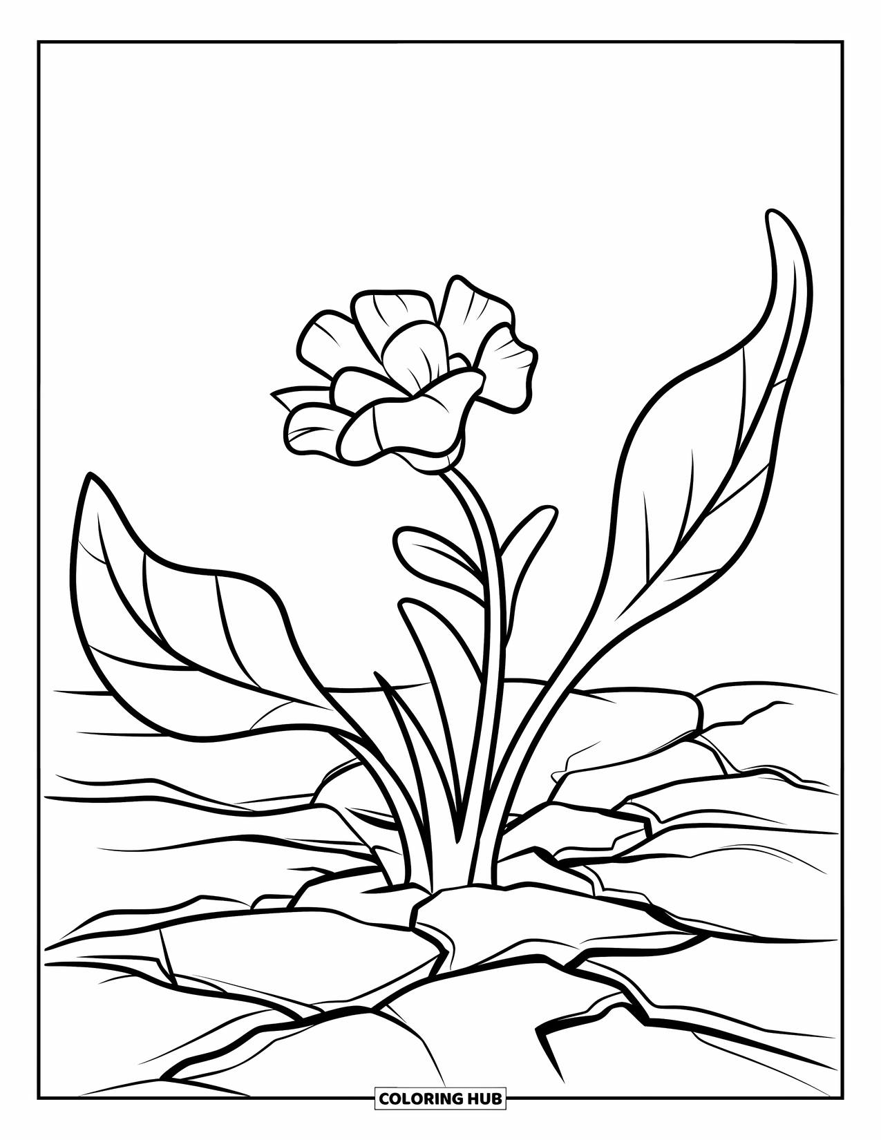 Blumen Ausmalbild für Kinder: Eine sprießende Blume mit breiten Blättern, die sich von ihrem Stiel strecken und aus strukturierter Erde wachsen