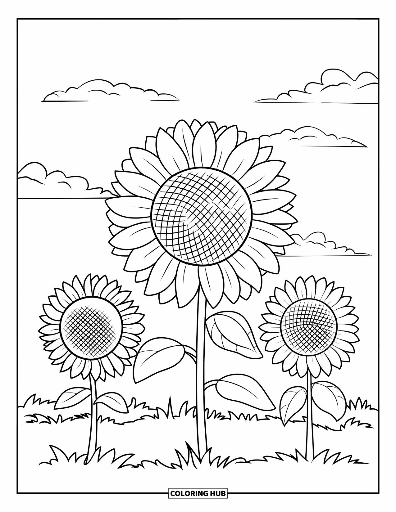 Blumen Ausmalbild für Kinder: Ein Sonnenblumenfeld mit gestreiften Blütenblättern und verstreuten Wolken, entworfen mit klaren und ansprechenden Details