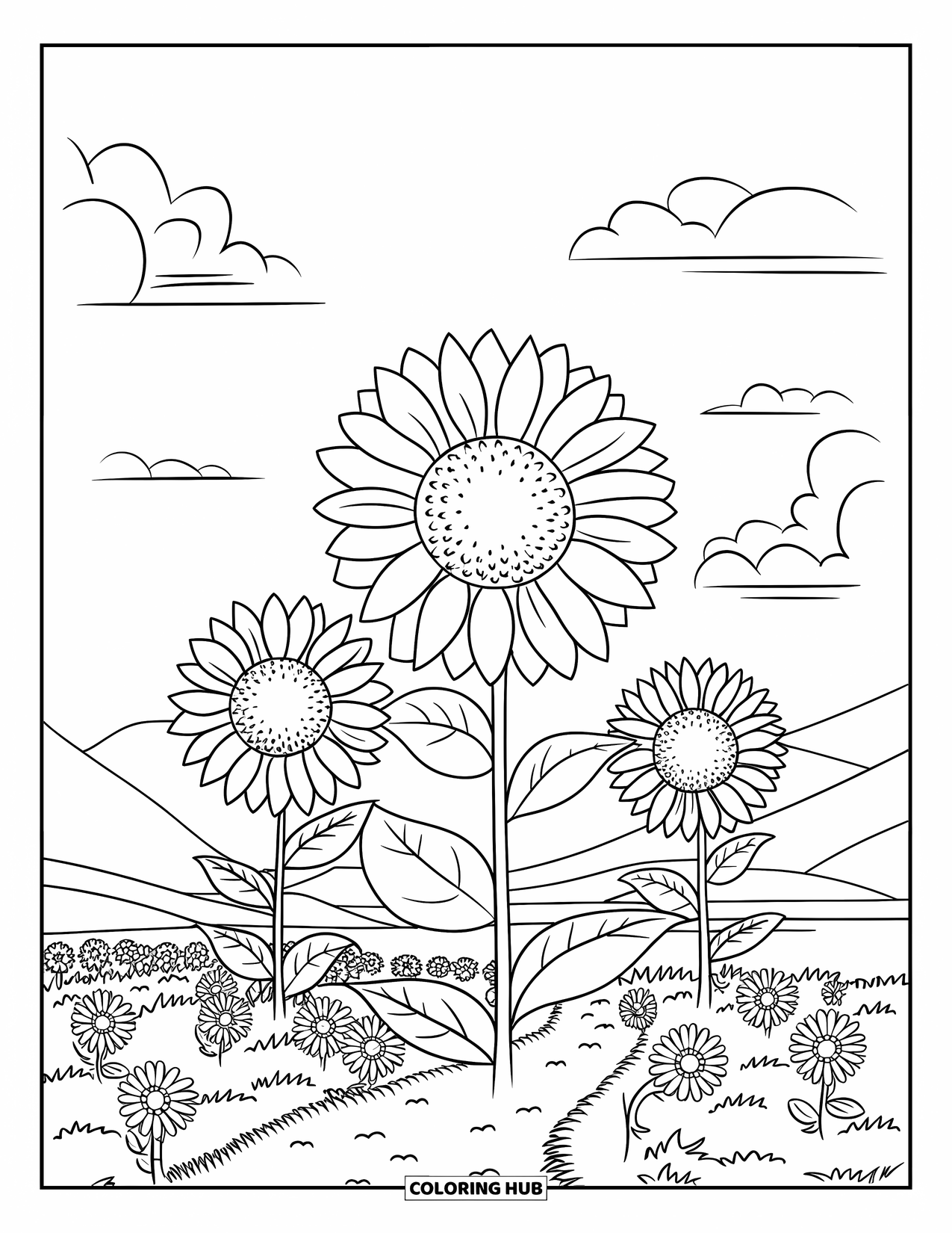 Blumen Ausmalbild für Kinder: Ein Sonnenblumenfeld mit drei großen Blumen, einem gewundenen Pfad und kleinen Wolken am Himmel