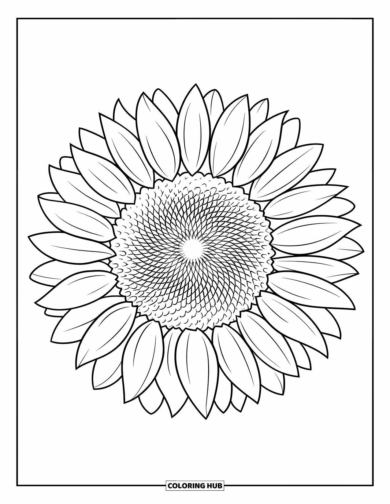 Blumen Ausmalbild für Kinder: Eine Sonnenblume mit einem spiralförmigen Zentrum und strukturierten Blütenblättern steht in voller Blüte