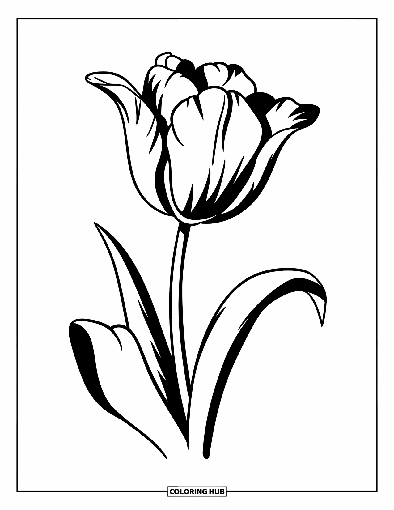 Blumen Ausmalbild für Kinder: Eine Tulpe mit einem geraden Stiel und anmutig gebogenen Blütenblättern