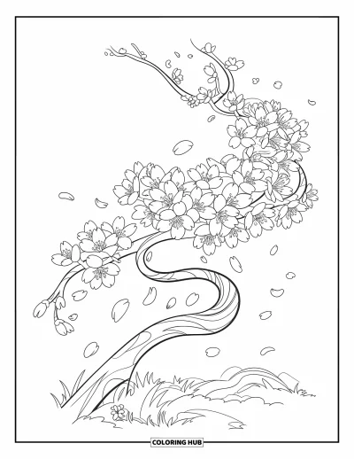 Desenho de flores para colorir para crianças: Um galho retorcido sustenta flores de cerejeira em plena floração, com pétalas no ar e espalhadas abaixo