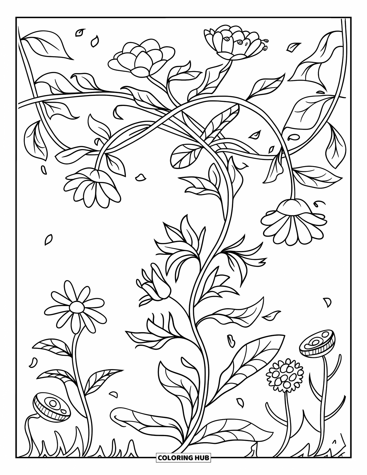 Blumen Ausmalbild für Kinder: Eine sich windende Ranke voller verschiedener Blumen, gezeichnet mit klaren und kräftigen Umrissen