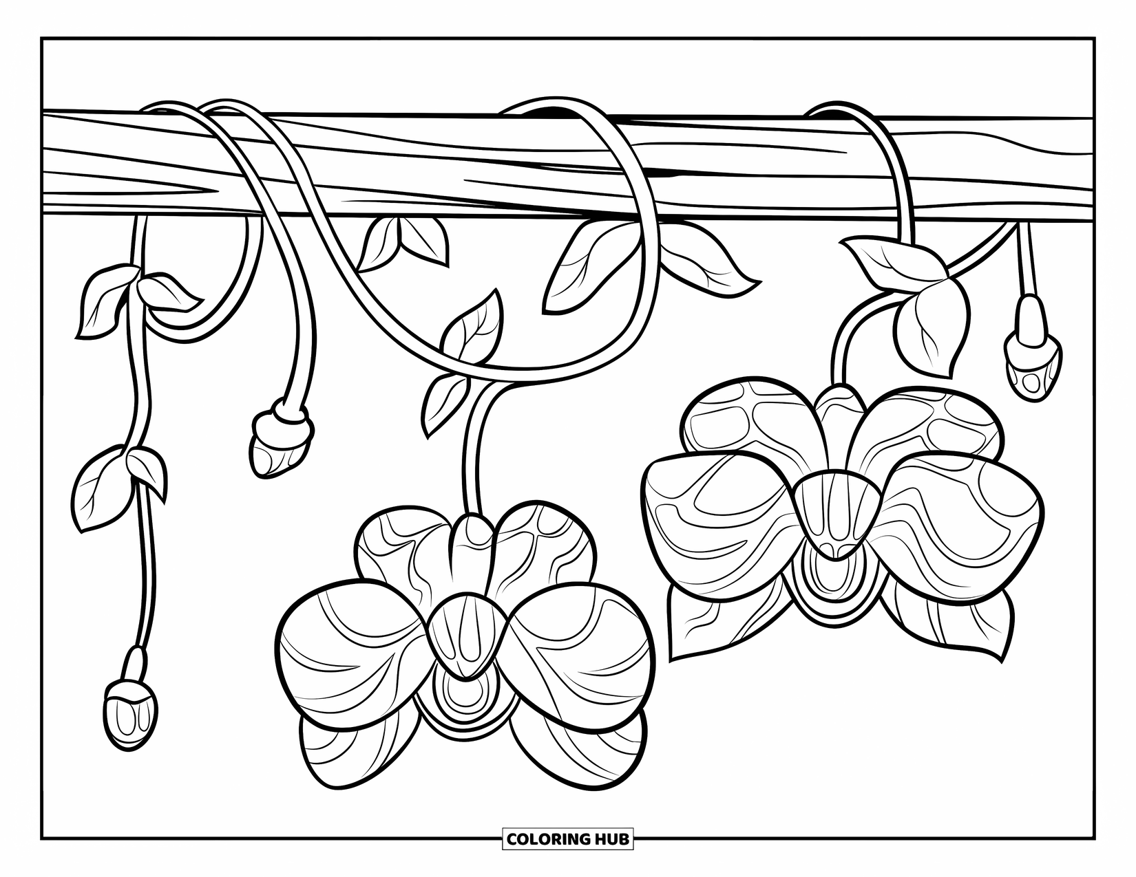 Blumen Ausmalbild für Kinder: Eine sich windende Ranke mit außerirdisch anmutenden Blumen und herabhängenden Knospen windet sich um eine Holzsäule