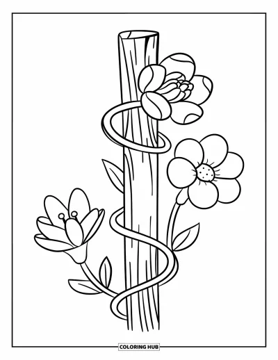 Desenho de flores para colorir para crianças: Uma trepadeira retorcida com três flores diferentes, cada uma com formatos e tamanhos únicos de pétalas