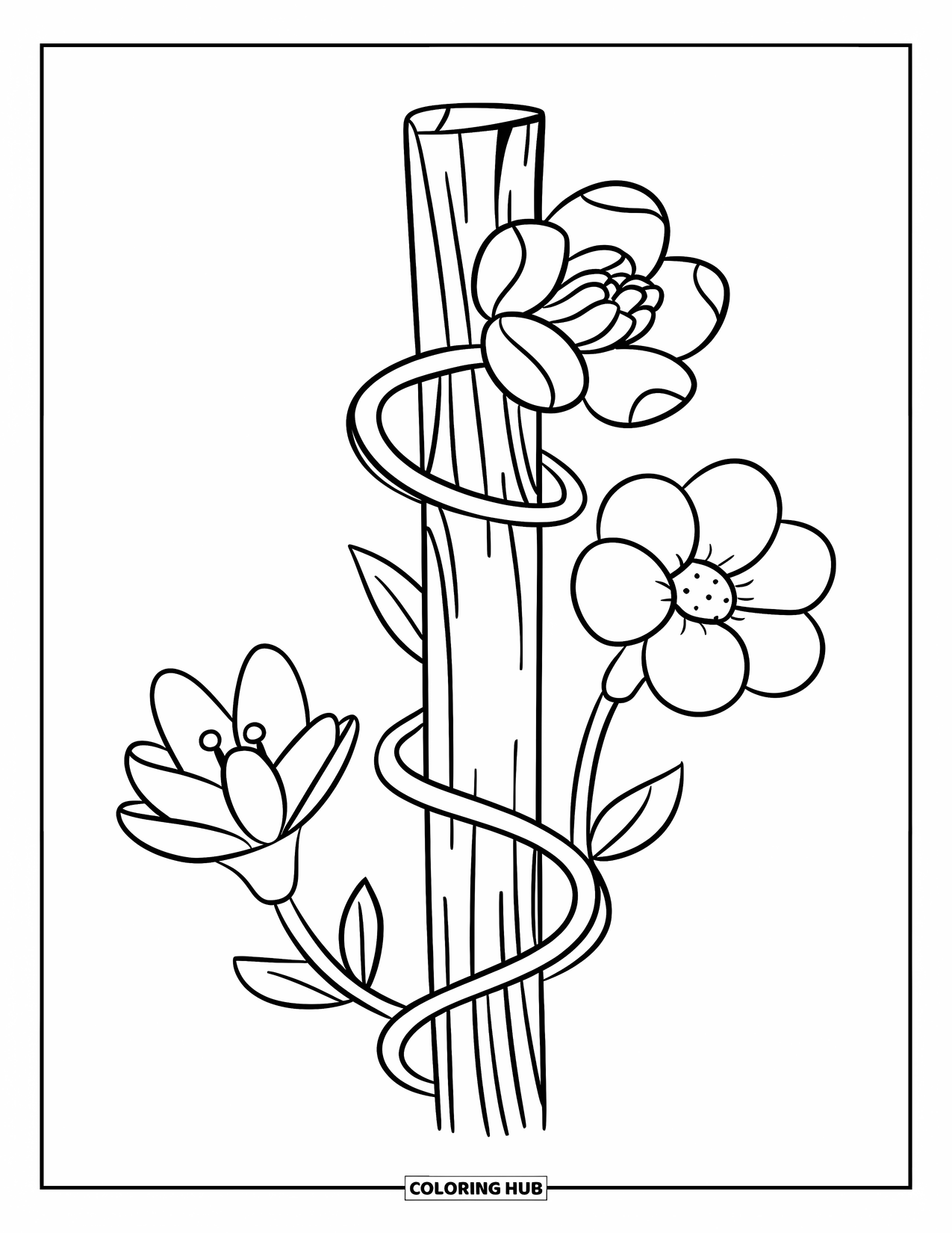 Blumen Ausmalbild für Kinder: Eine sich windende Ranke mit drei verschiedenen Blumen, jede mit einzigartigen Blütenblattformen und -größen