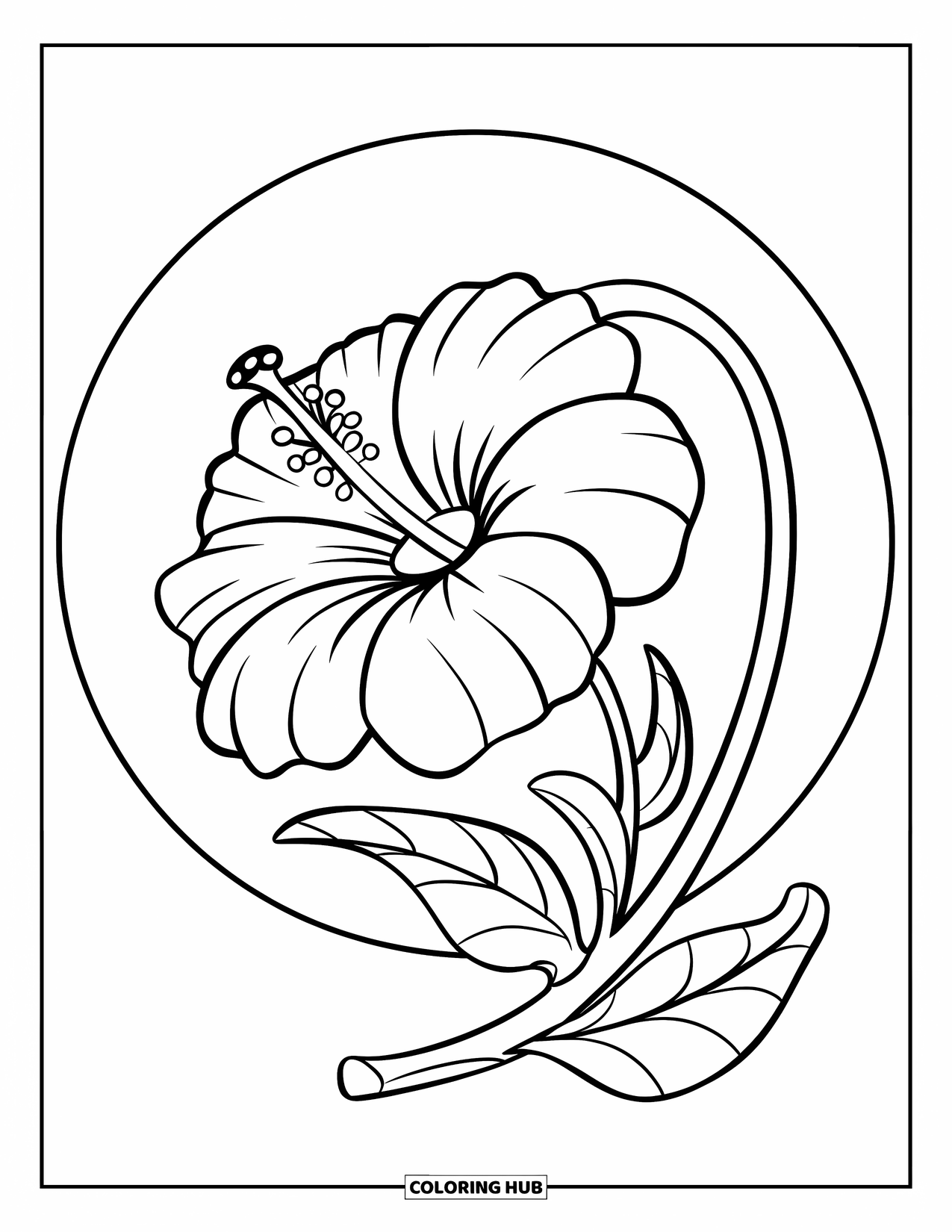 Blumen Ausmalbild für Kinder: Eine leuchtende Hibiskusblüte mit einer kräftigen Blütenblattstruktur und einem gebogenen Stiel
