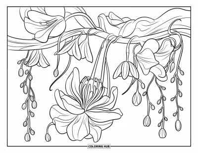 Desenho de flores para colorir para crianças: Uma trepadeira coberta de flores exóticas e botões pendentes se enrola em um galho, com uma flor grande aberta