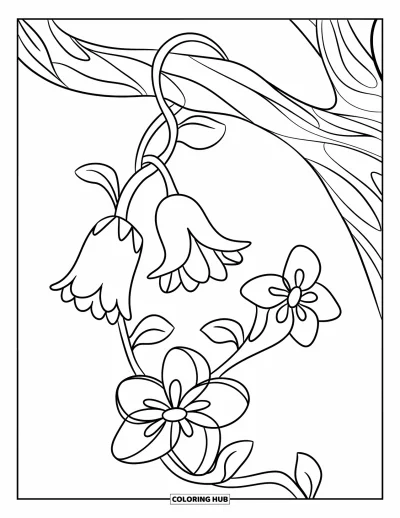 Desenho de flores para colorir para crianças: Uma trepadeira com flores em formato de sino, trombeta e estrela se enrola em um galho de árvore