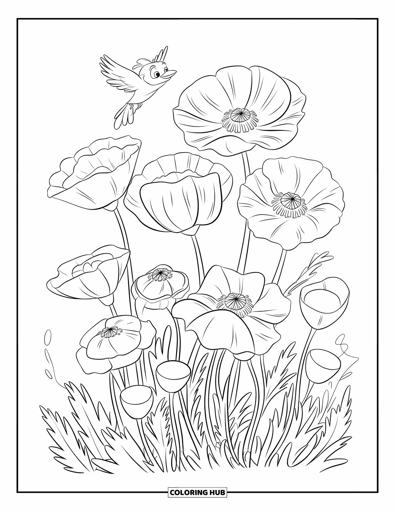 Blumen Ausmalbild für Kinder: Mohnblumen in voller Blüte mit einem kleinen Vogel, der über sie hinwegfliegt