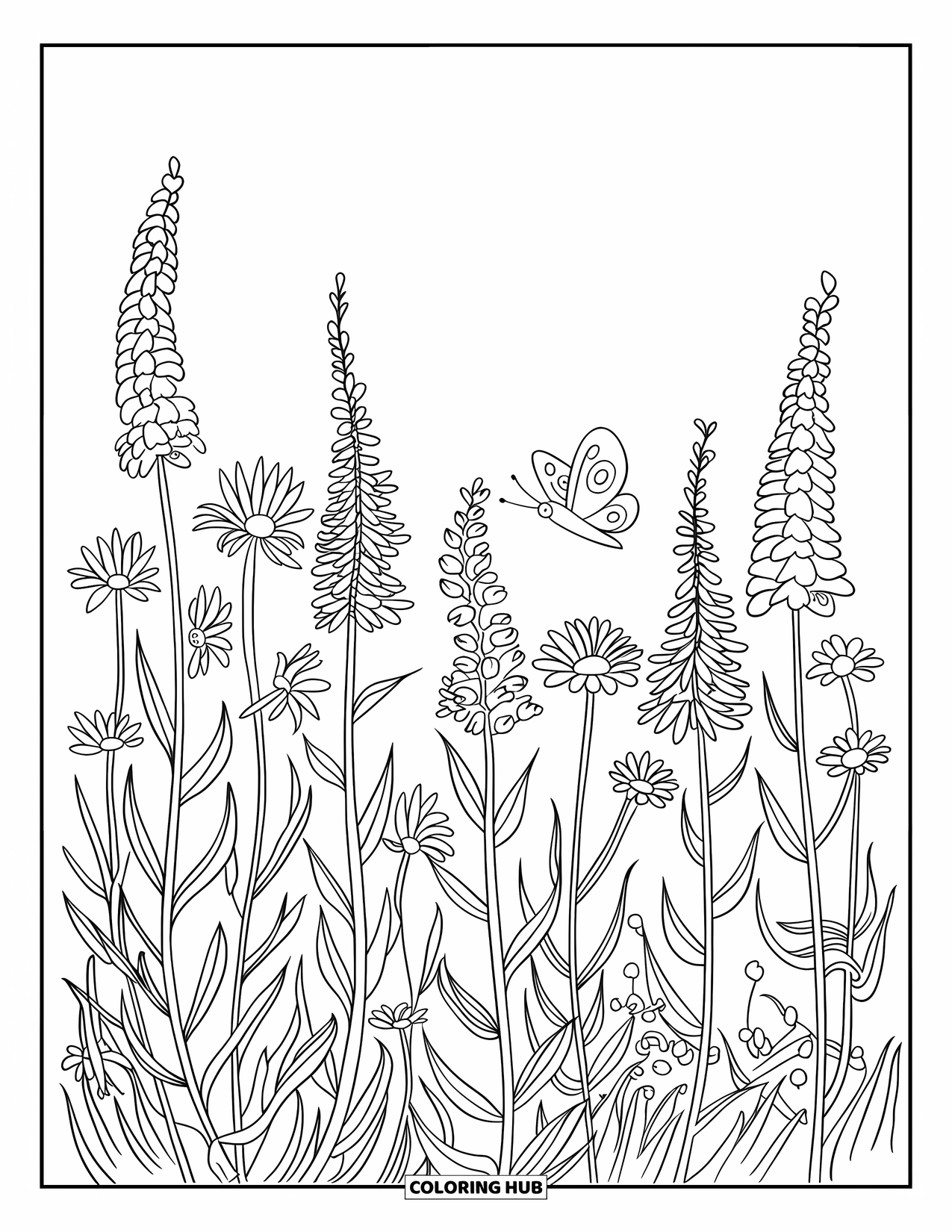 Blumen Ausmalbild für Kinder: Hohe Wildblumen in verschiedenen Blütephasen wiegen sanft, mit einem Schmetterling, der darüber schwebt