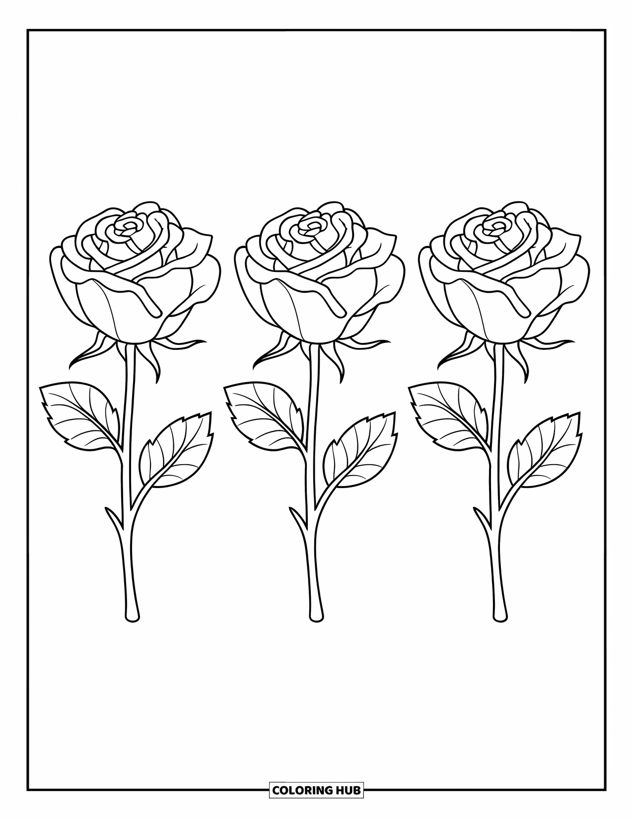 Blumen Ausmalbild für Kinder: Drei Rosen in einer Reihe, jede mit einem dicken Stiel und einem einzelnen großen Blatt
