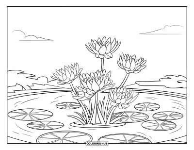 Desenho de flores para colorir para crianças: Lírios-d’água com pétalas grandes e arredondadas repousam sobre folhas de vitória-régia em um lago tranquilo sob céu limpo
