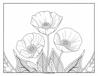 Blumenmandala-Ausmalbild für Erwachsene: Ein klassisches Mohnmandala mit kräftigen Blütenblättern und feinen Mustern zum entspannten Ausmalen