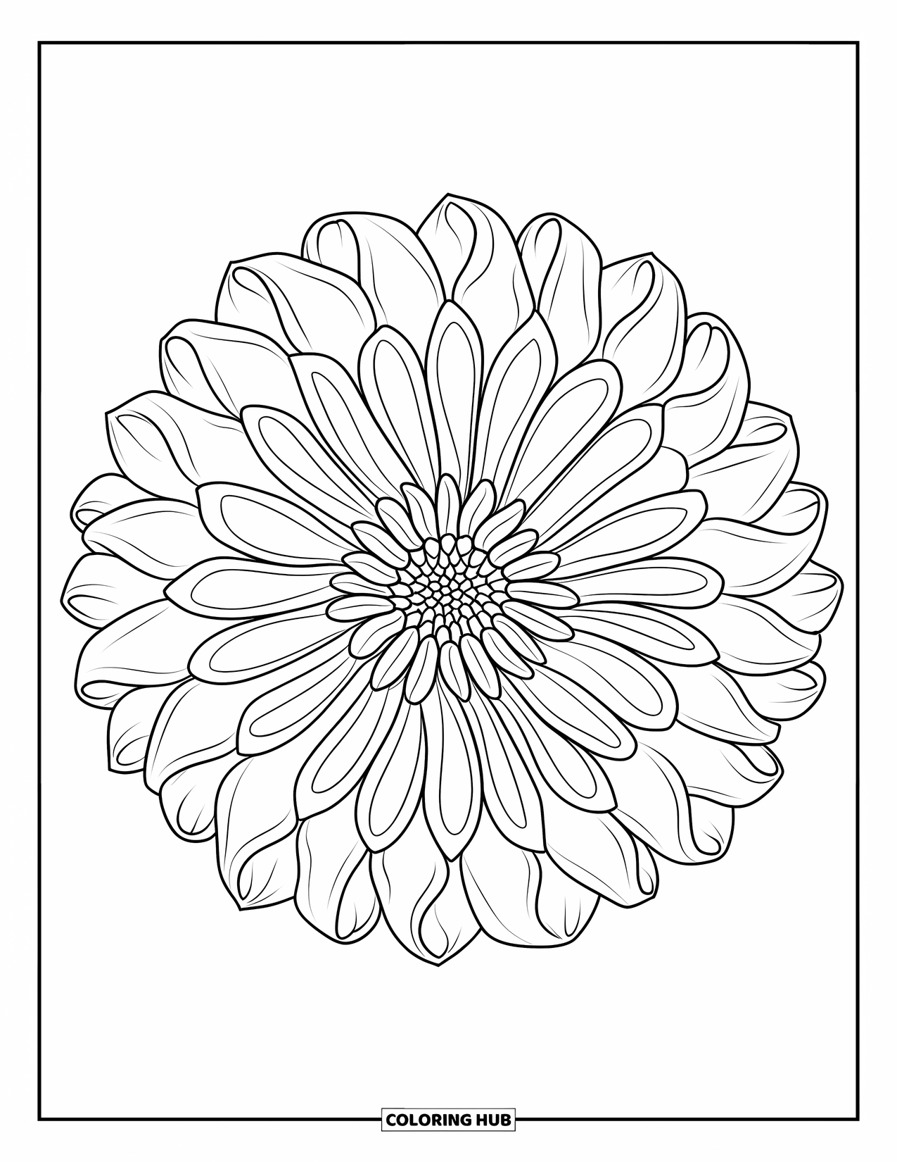 Bloemen Mandala Kleurplaat voor Volwassenen: Een gedetailleerde dahlia mandala met symmetrische bloemblaadjes die zich uitbreiden in fijne lagen