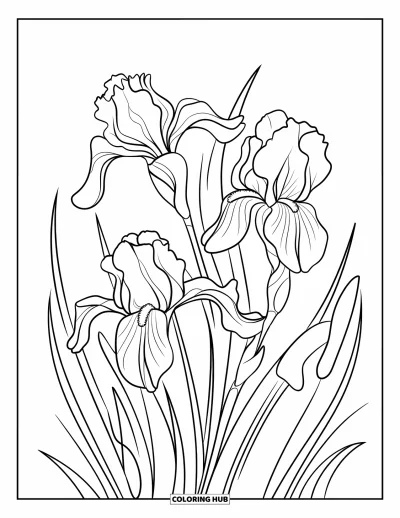 Blumenmandala-Ausmalbild für Erwachsene: Ein anmutiges Irismandala mit geschwungenen Blütenblättern und dekorativen Blumenakzenten