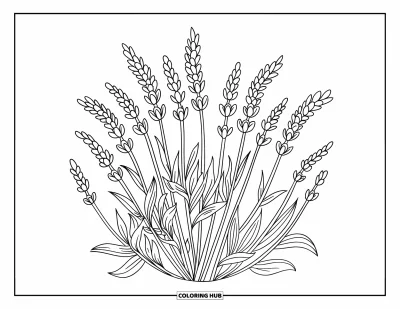 Blumenmandala-Ausmalbild für Erwachsene: Ein friedliches Lavendelmandala aus schlanken Stielen und blättrigen Mustern