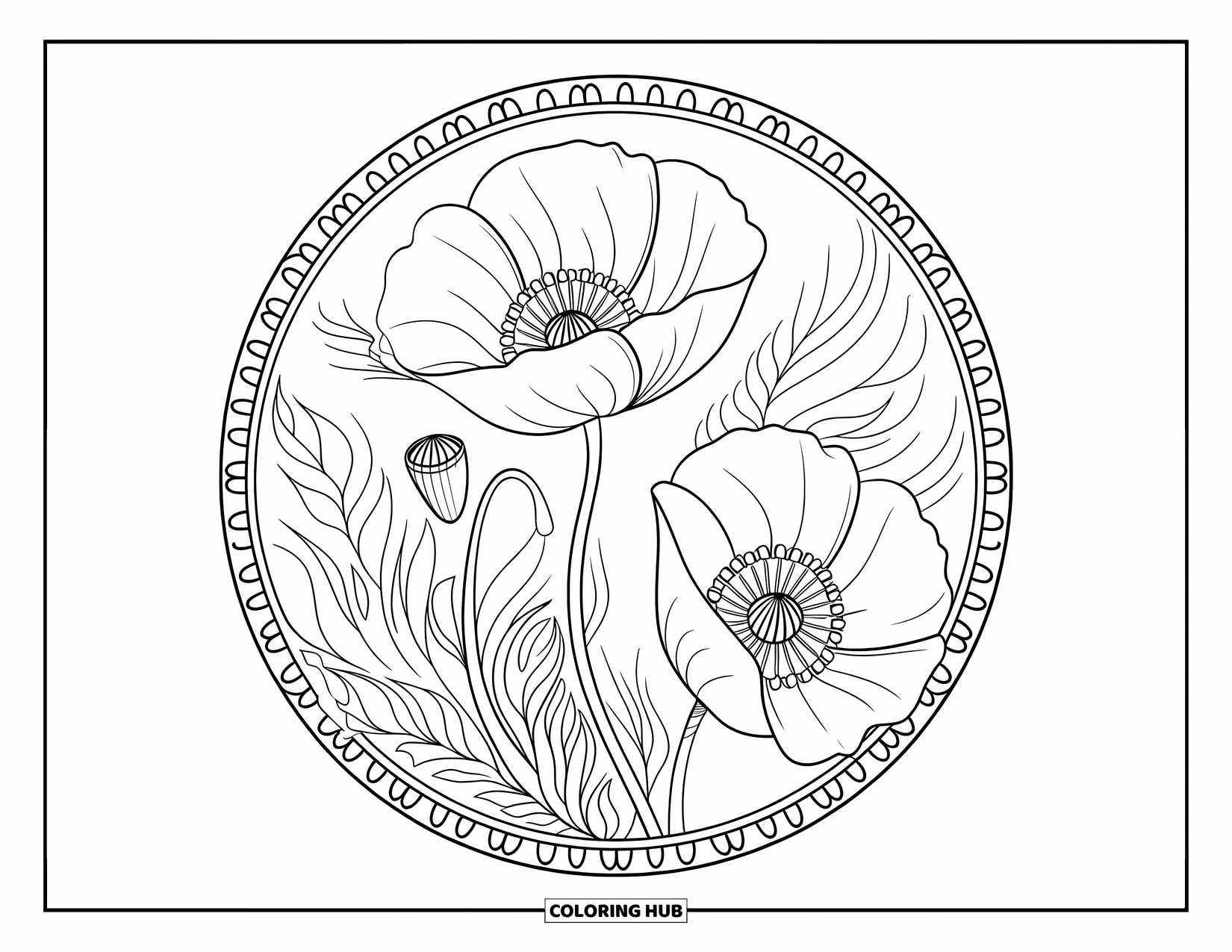 Bloemen Mandala Kleurplaat voor Volwassenen: Een rustgevende klaproos mandala met heldere contouren en een vleugje bloemendetail