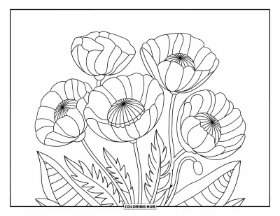 Blumenmandala-Ausmalbild für Erwachsene: Kräftige Mohnblütenblätter und feine Staubblätter formen ein ruhiges, elegantes Mandala-Design