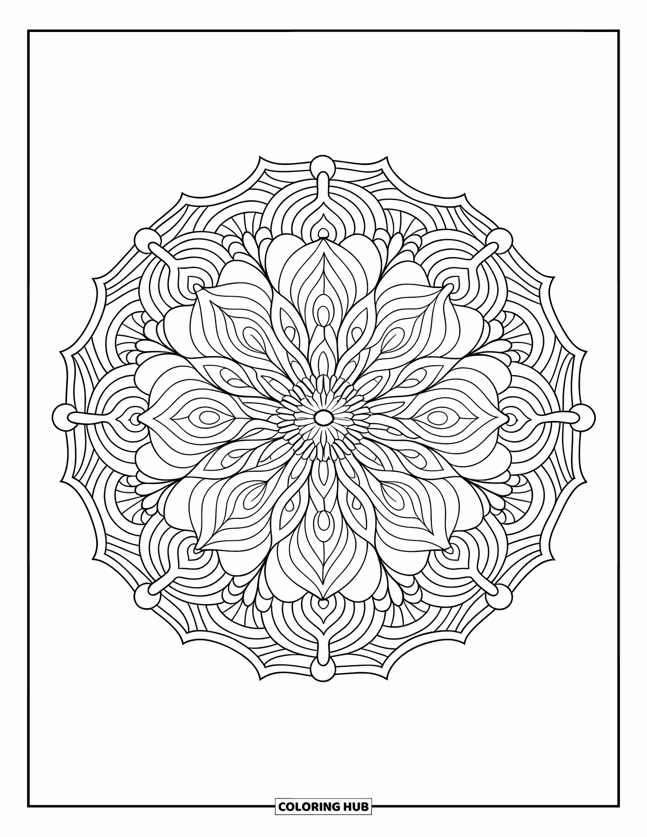 Bloemen Mandala Kleurplaat voor Volwassenen: Chrysanten- en lotusblaadjes wervelen samen in een rustige, gelaagde mandala