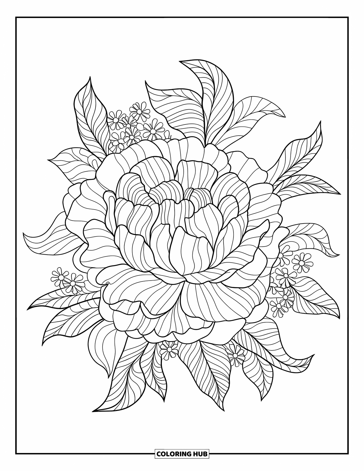 Bloemen Mandala Kleurplaat voor Volwassenen: Gebogen pioenroosblaadjes creëren een elegante mandala vol zachte bloemenbeweging