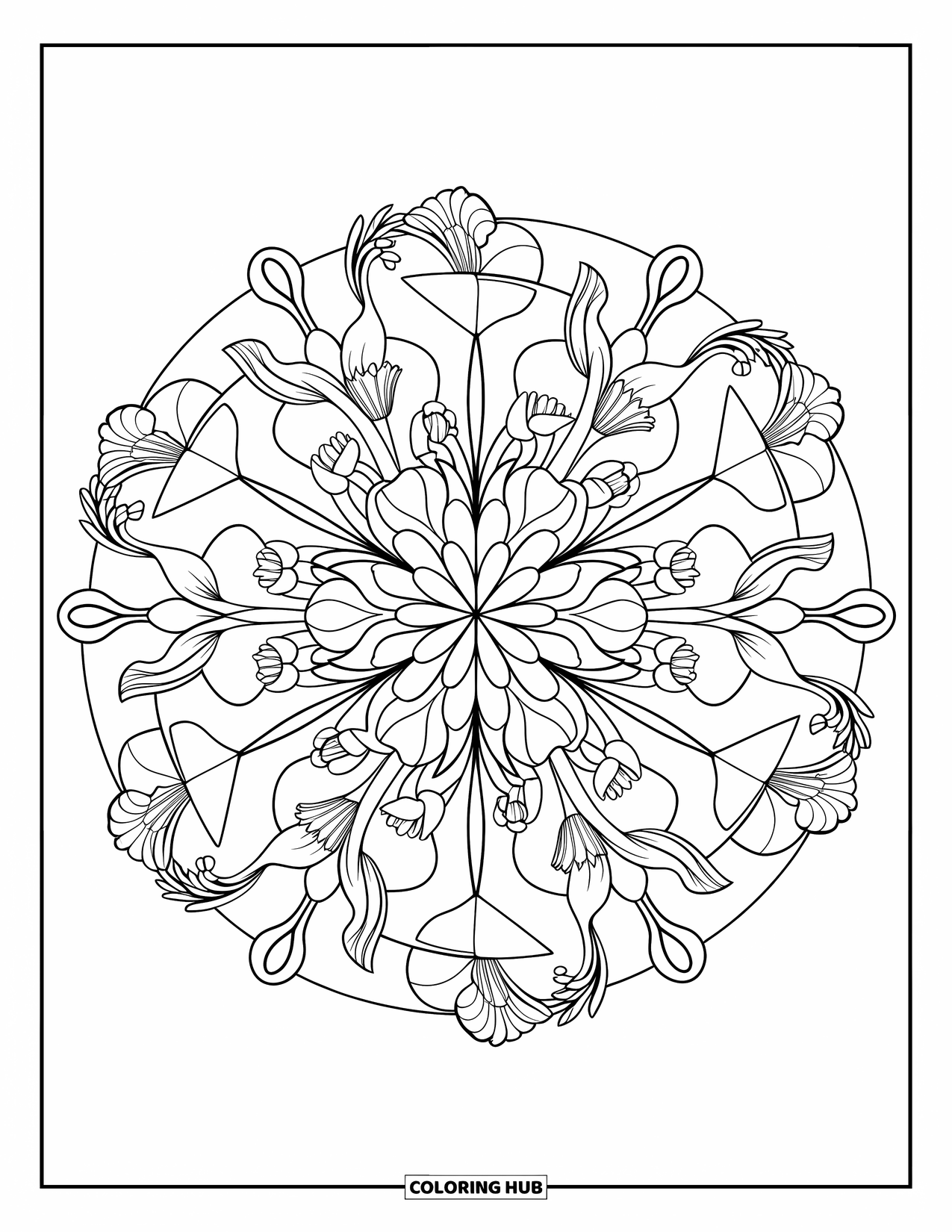 Bloemen Mandala Kleurplaat voor Volwassenen: Narcissen, lelies en wilde bloemen bloeien in evenwichtige geometrische harmonie