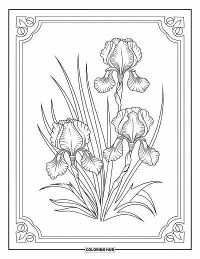 Blumenmandala-Ausmalbild für Erwachsene: Irisblütenblätter und Verzierungen formen ein elegantes Mandala mit langen, fließenden Formen