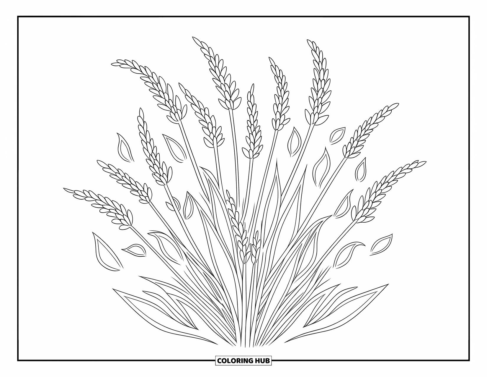 Bloemen Mandala Kleurplaat voor Volwassenen: Lavendelstelen vormen een zacht, cirkelvormig ontwerp gevuld met kalme, strakke details