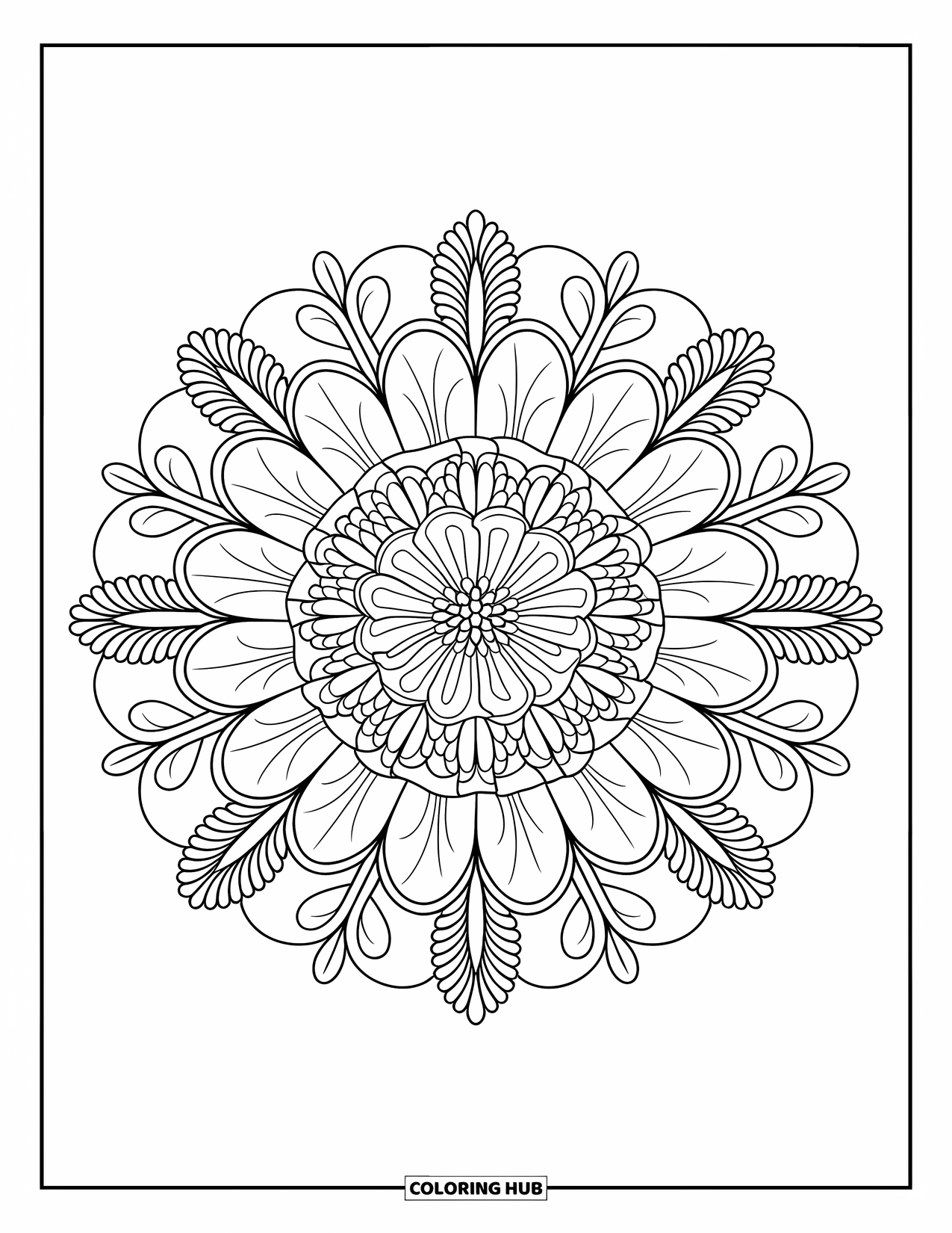 Bloemen Mandala Kleurplaat voor Volwassenen: Goudsbloemblaadjes creëren een cirkelvormige mandala met een kalm, rustgevend ritme