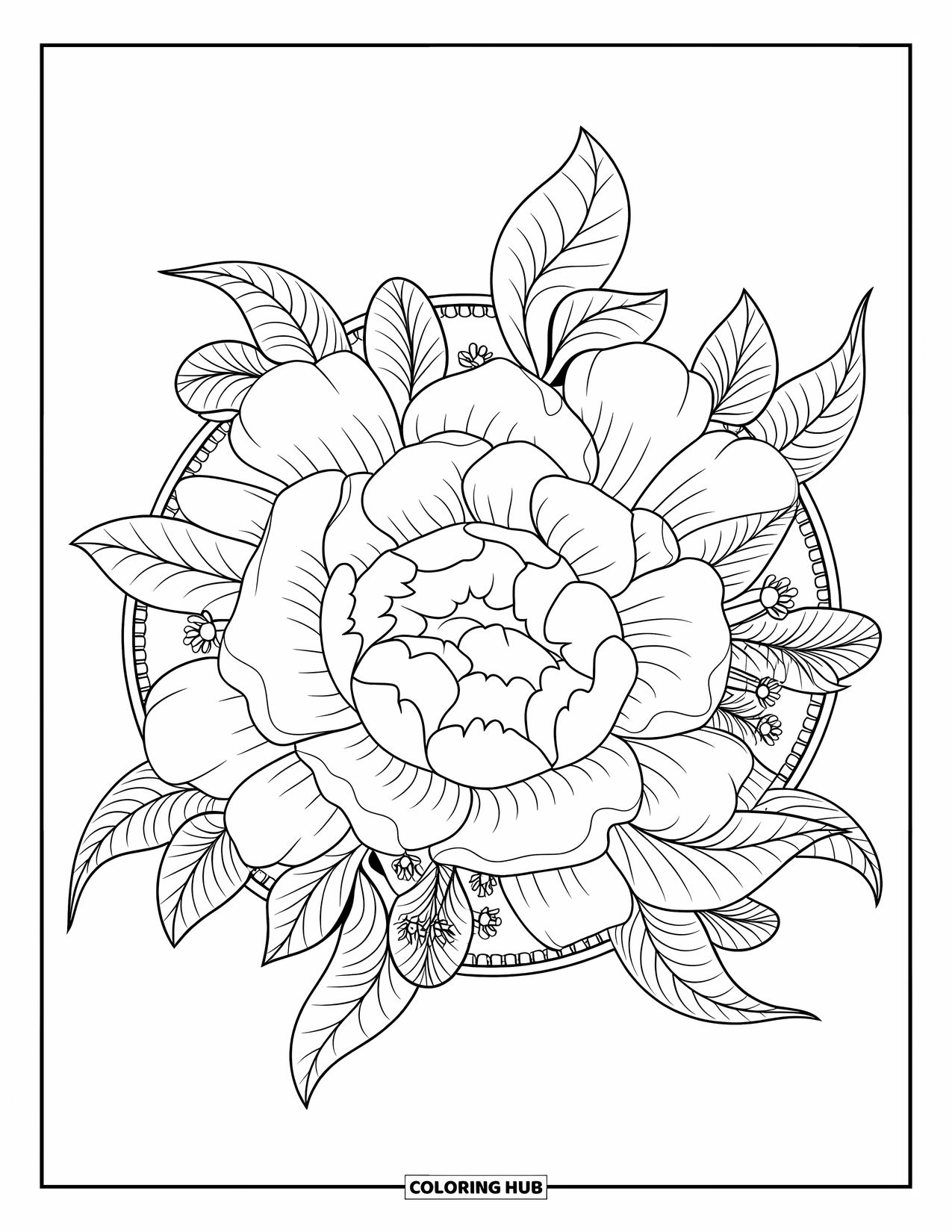 Bloemen Mandala Kleurplaat voor Volwassenen: Pioenenblaadjes en bladeren wervelen samen in een zachte, bloemige mandala