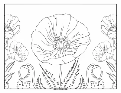 Blumenmandala-Ausmalbild für Erwachsene: Mohnblumen blühen in einem kräftigen Mandala, umgeben von sanften botanischen Formen