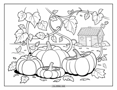 Dibujo de jardín para colorear para niños: Un animado huerto de calabazas con calabazas redondas y regordetas y enredaderas rizadas