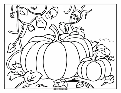 Dibujo de jardín para colorear para niños: Un huerto de calabazas con enredaderas extendidas y un pequeño cobertizo de jardín al fondo