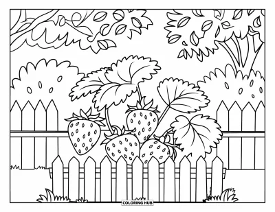 Dibujo de jardín para colorear para niños: Un dulce macizo de fresas con bayas maduras asomando entre las hojas verdes