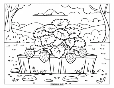 Dibujo de jardín para colorear para niños: Un próspero huerto de fresas rodeado por una encantadora cerca blanca de piquete