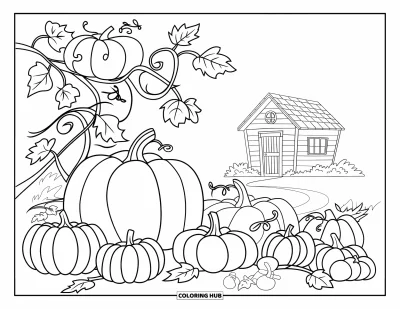 Dibujo de jardín para colorear para niños: Un campo de calabazas caprichoso con enredaderas retorcidas y calabazas de todos los tamaños