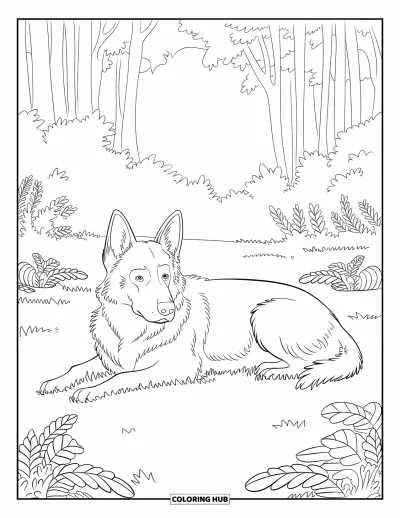 Coloriage de berger allemand pour adultes : Un berger allemand calme se repose dans une clairière herbeuse entourée de feuilles et de plantes forestières