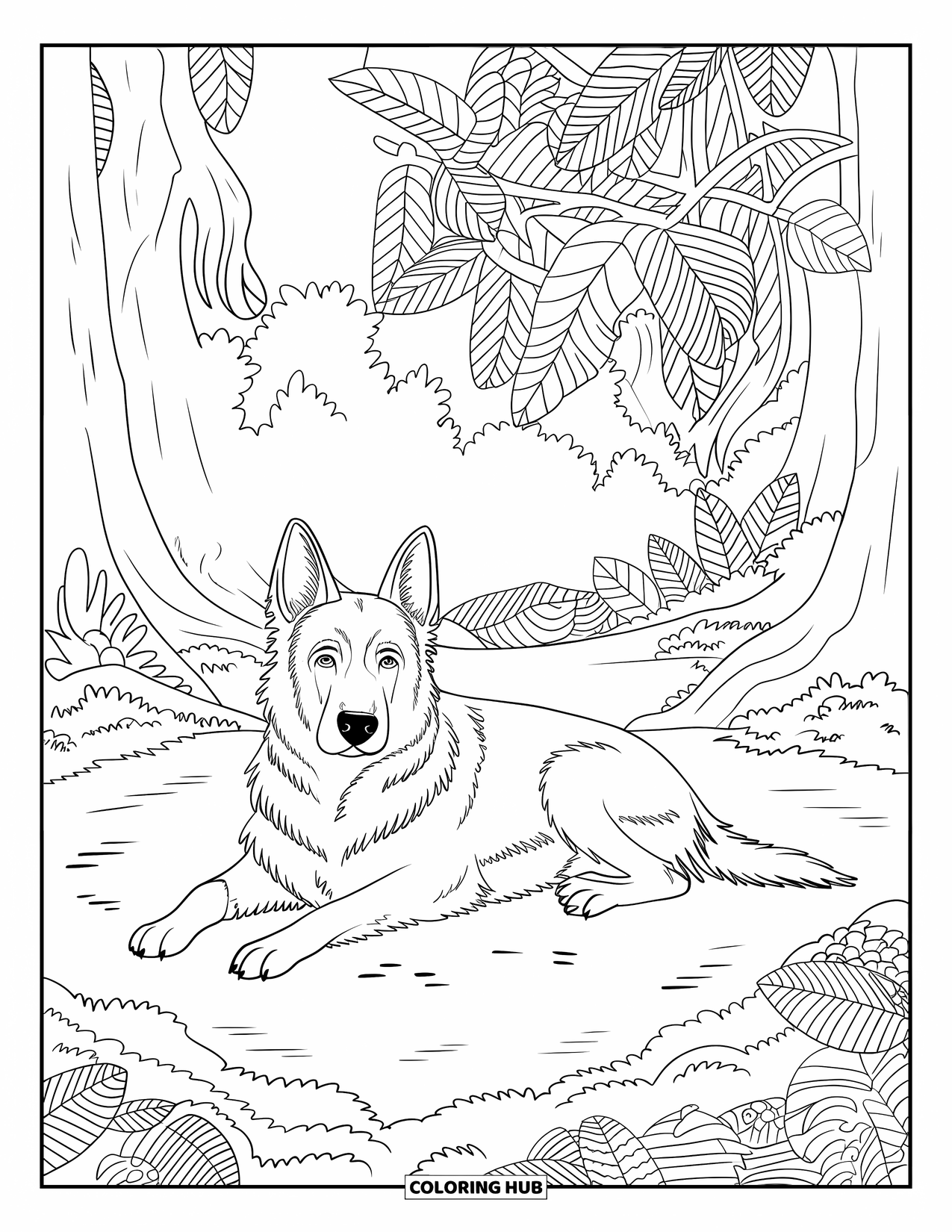 Disegno di pastore tedesco da colorare per adulti: Un cucciolo rilassato giace in una radura nella foresta con muschio, foglie e alberi alti intorno