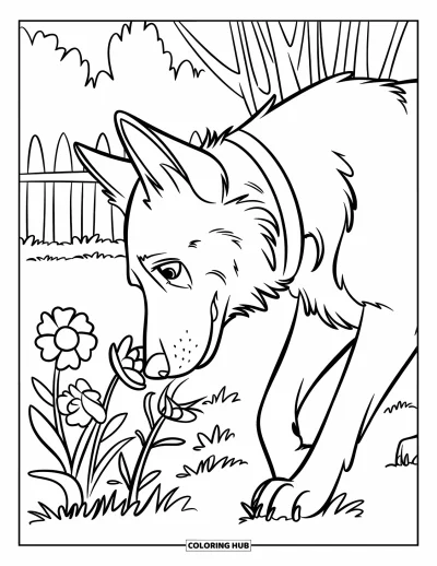 Coloriage de berger allemand pour enfants : Un berger allemand curieux renifle des fleurs épanouies dans un jardin